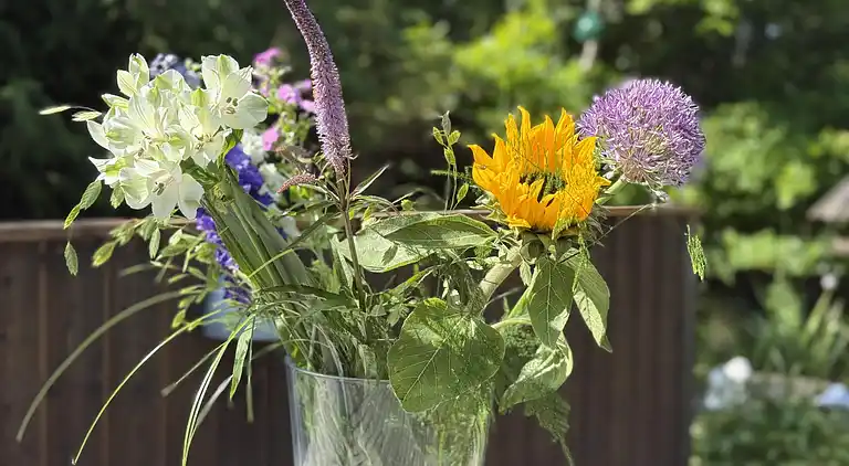 Semesterbostad i Ålbæk