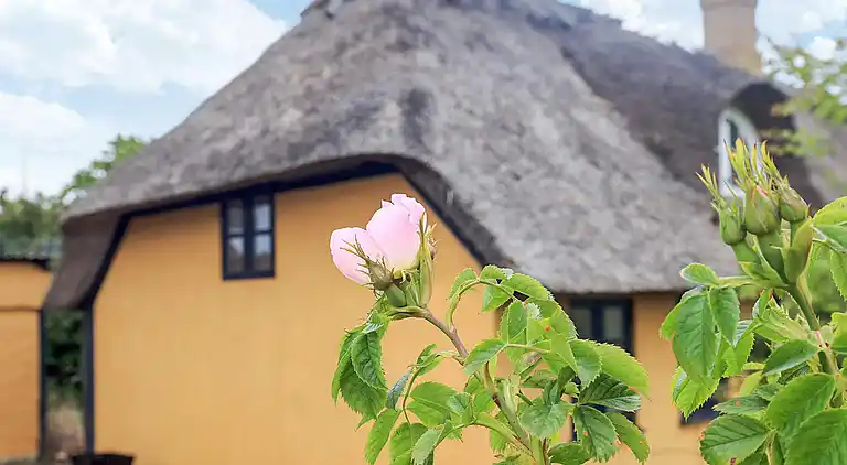 Sommerhus i Rudkøbing