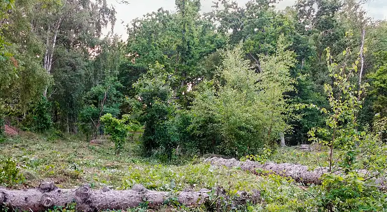 Holiday home in Helberskov Strand