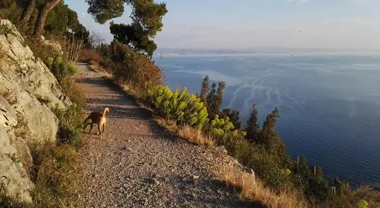 Hytte i Le Freney-d'Oisans