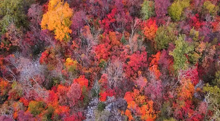 Hytte i Le Freney-d'Oisans