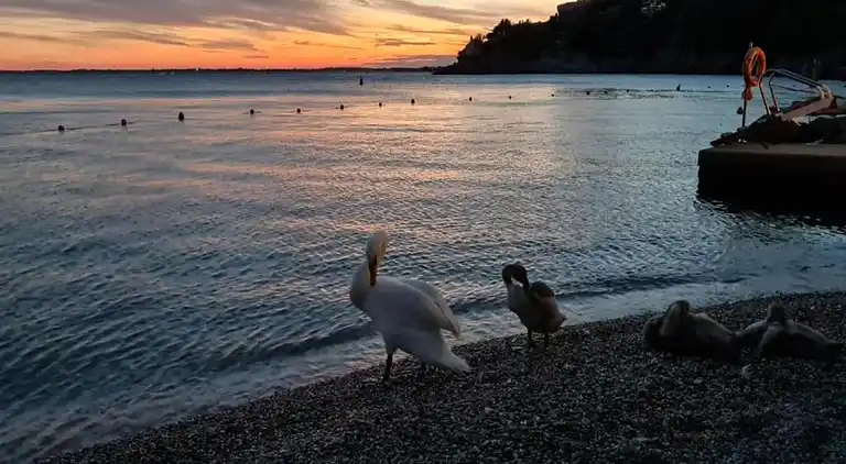 Cottage in Le Freney-d'Oisans
