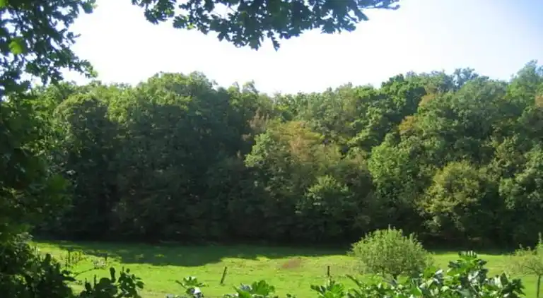 Hytte i Le Freney-d'Oisans