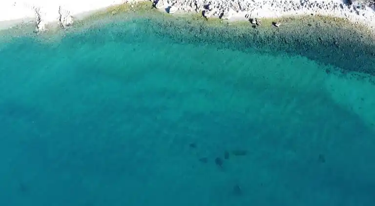 Hytte i Le Freney-d'Oisans