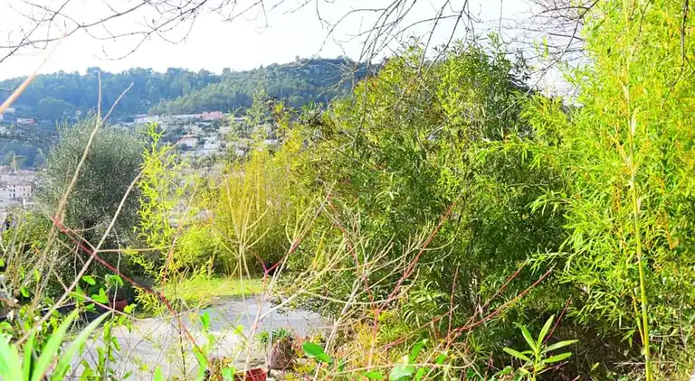 Cottage in Solliès-Pont