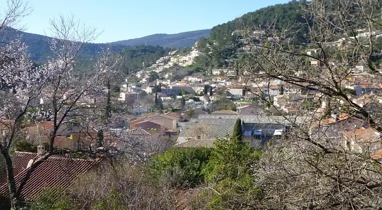 Cottage in Solliès-Pont