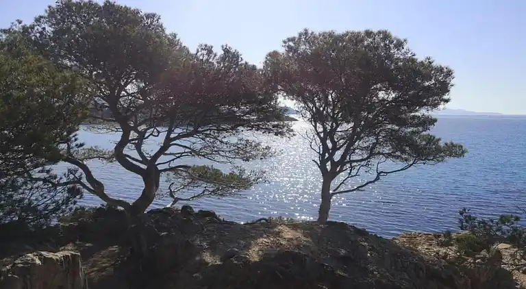 Villa in Cavalaire-sur-Mer