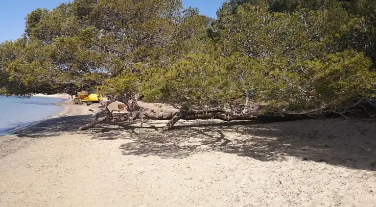 Villa in Cavalaire-sur-Mer
