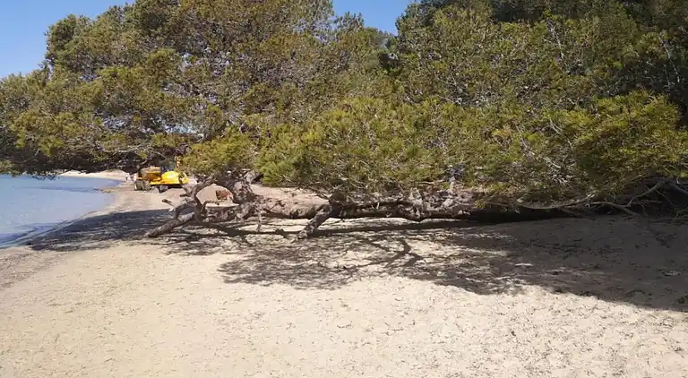 Hytte i Solliès-Pont