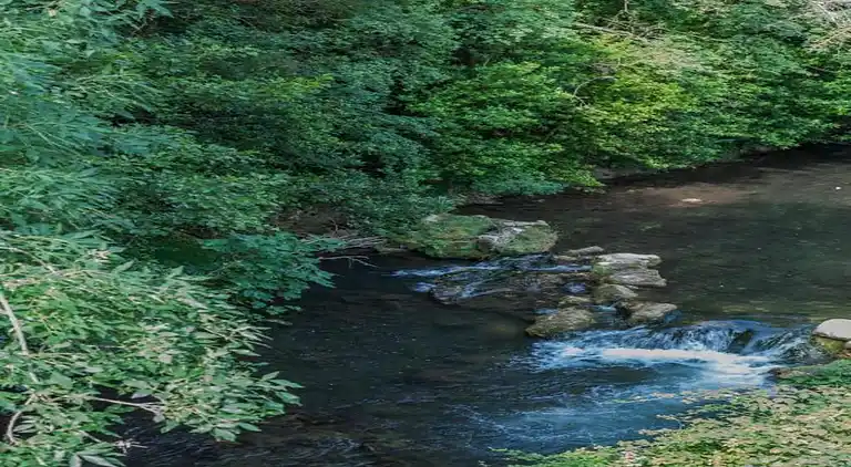 Cottage in Solliès-Pont