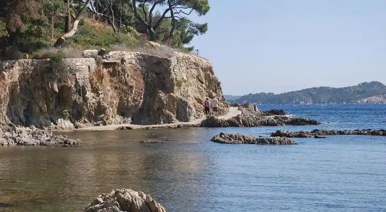 Cottage in Solliès-Pont