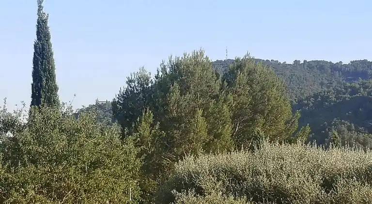 Hytte i Solliès-Pont