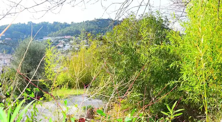 Villa in Cavalaire-sur-Mer