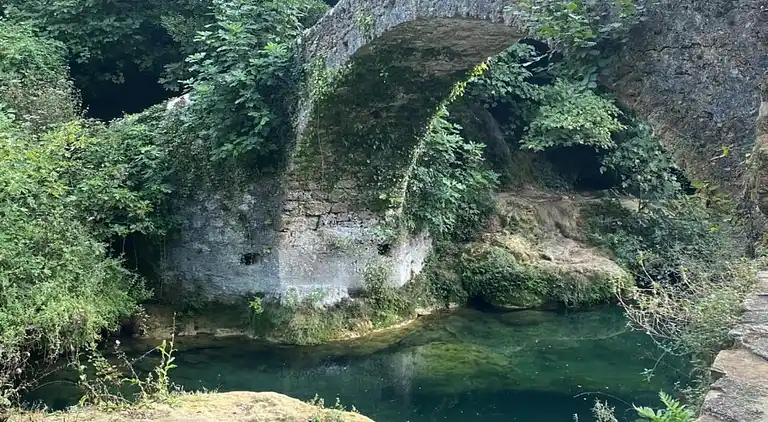 Holiday home in Fayence