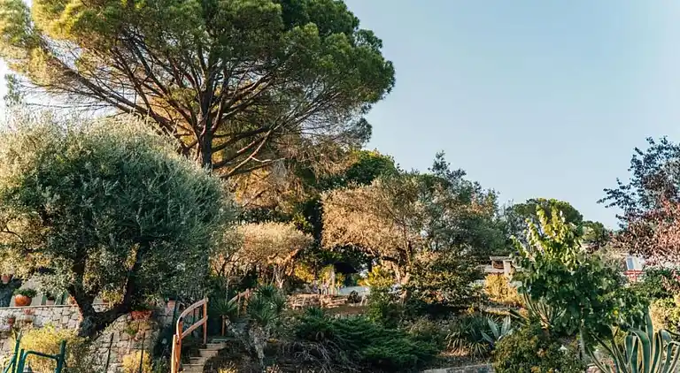 Holiday home in Fayence