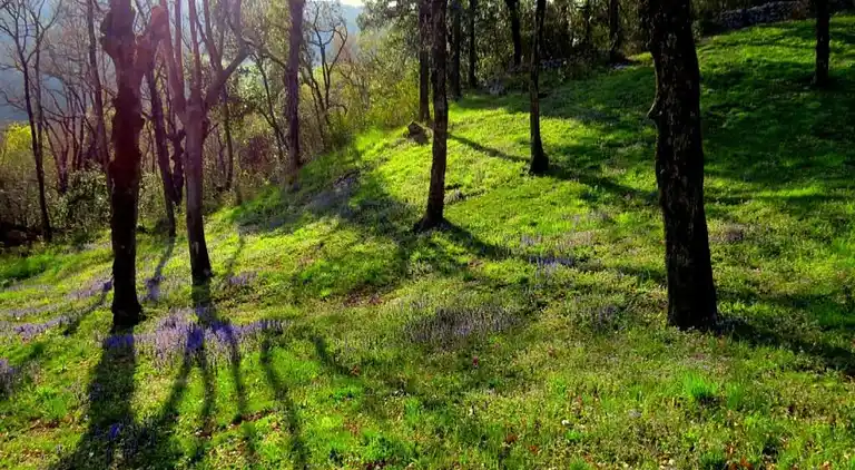 Apartment in Vinkuran