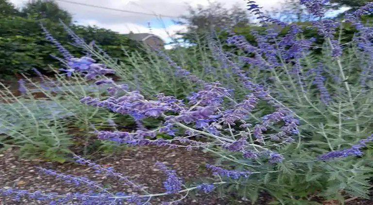 Holiday home in Robertville