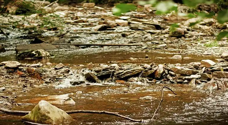 Holiday home in Robertville