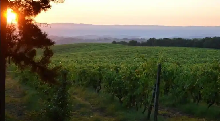 Gårdshus i Gavignano