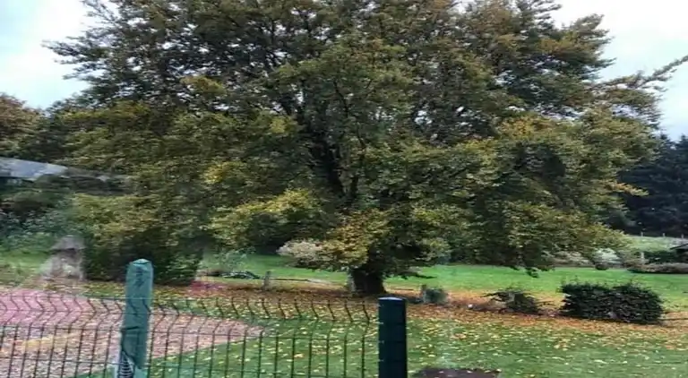 Sommerhus i Bévercé