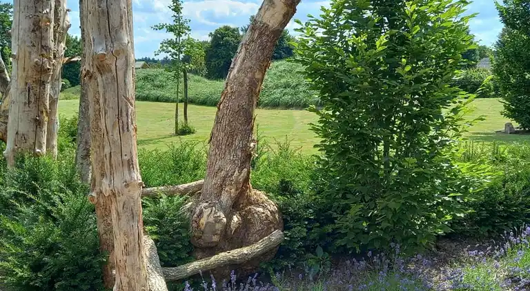 Sommerhus i Bévercé