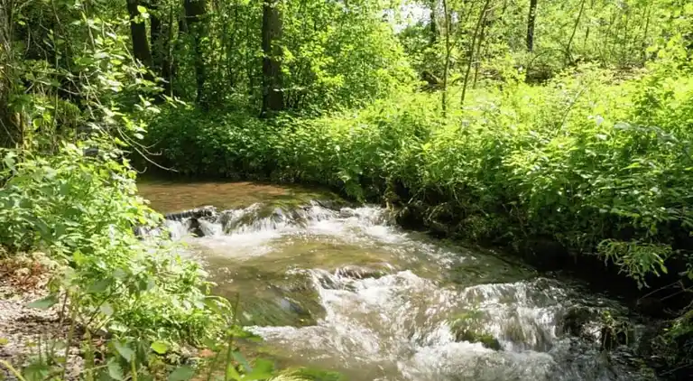Sommerhus i Bévercé
