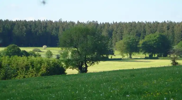 Hytte i Basse-Bodeux