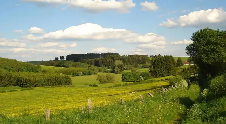 Hytte i Basse-Bodeux