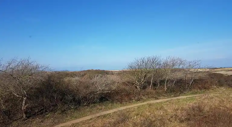 Apartment in Scheveningen