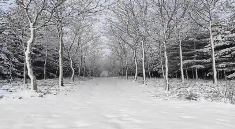 Maison de vacances en Bovigny