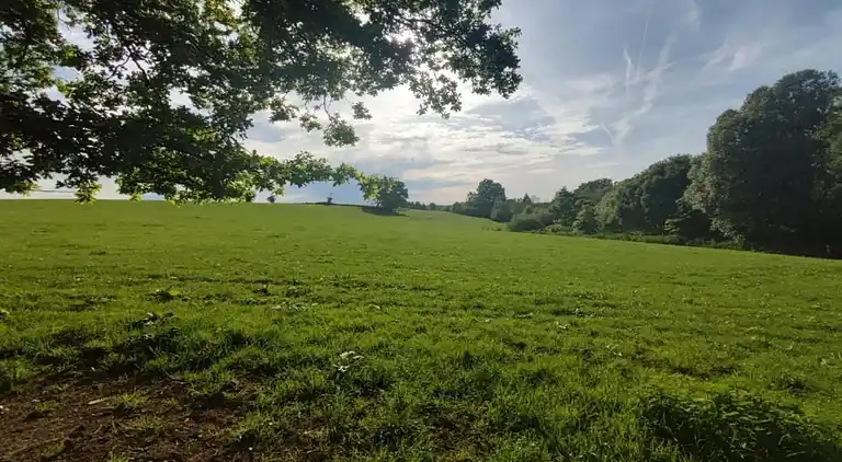 Maison de vacances en Bovigny