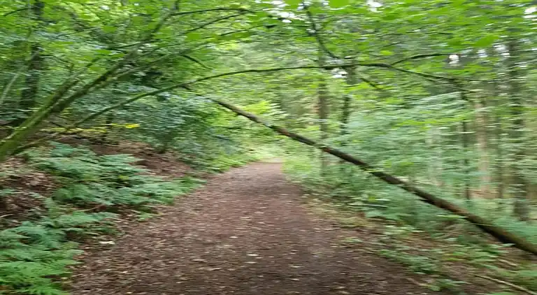 Holiday home in Martelange