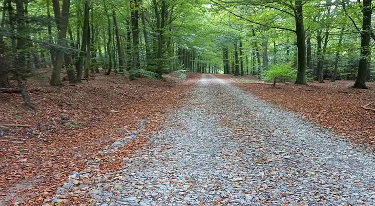 Maison de vacances en Bovigny