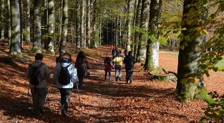 Maison de vacances en Bovigny