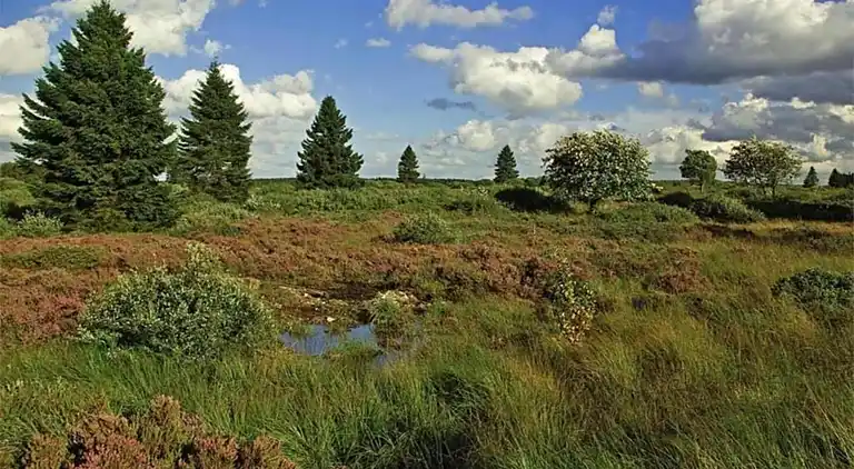 Sommerhus i Bertogne