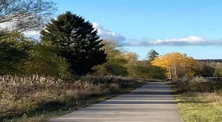 Sommerhus i Bertogne