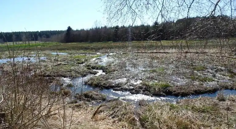 Sommerhus i Bertogne