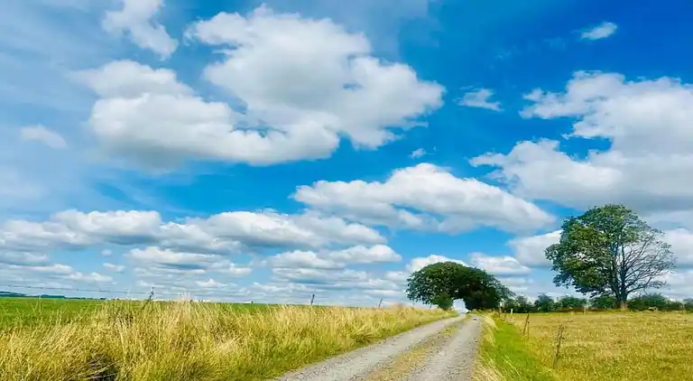 Sommerhus i Bertogne