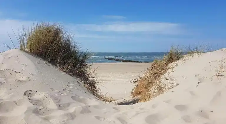 Apartment in Domburg