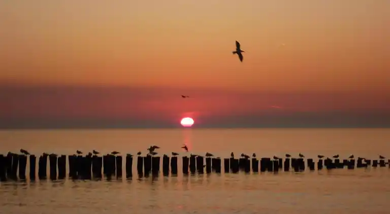 Ferienwohnung in Domburg