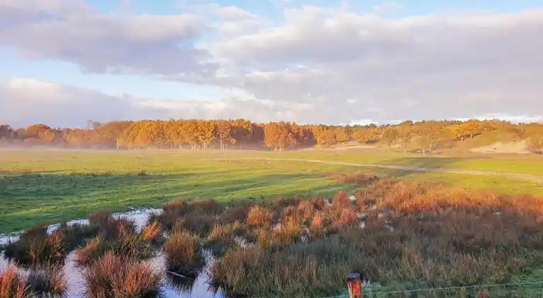 Apartamento en Domburgo