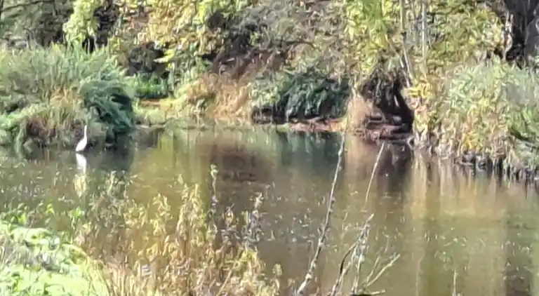 Cottage in Les Bulles