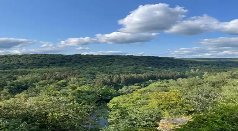 Cottage in Les Bulles