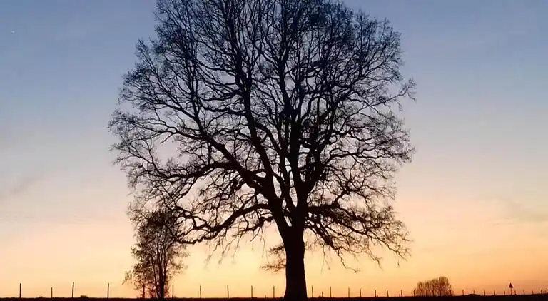Cottage in Les Bulles