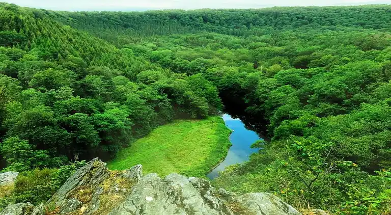 Cottage in Les Bulles
