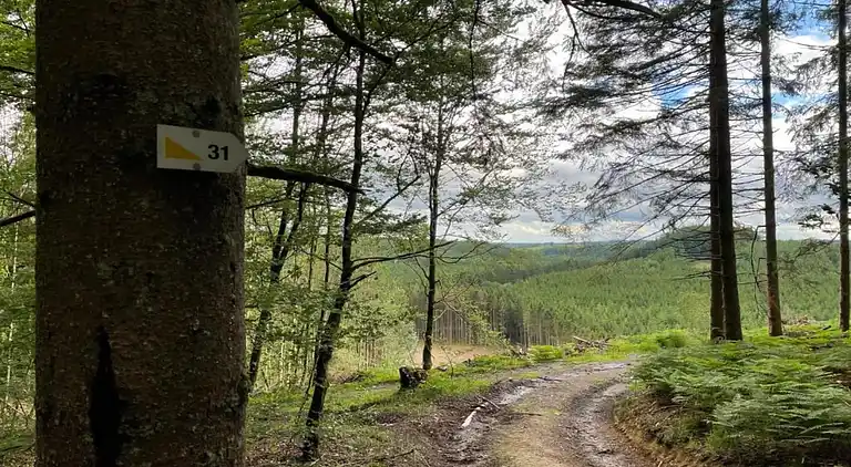 Cottage in Les Bulles