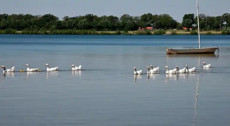 Holiday home in Heel