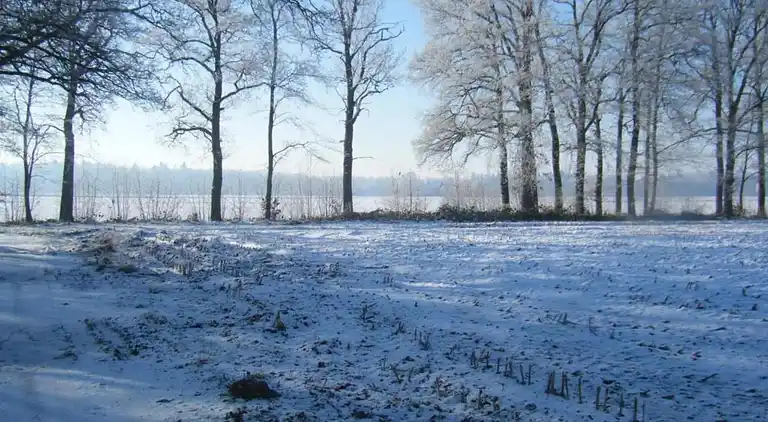 vakantiehuis in Heeten