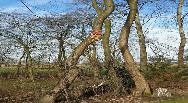 vakantiehuis in Heeten