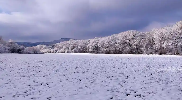 Apartment in Barvaux-sur-Ourthe